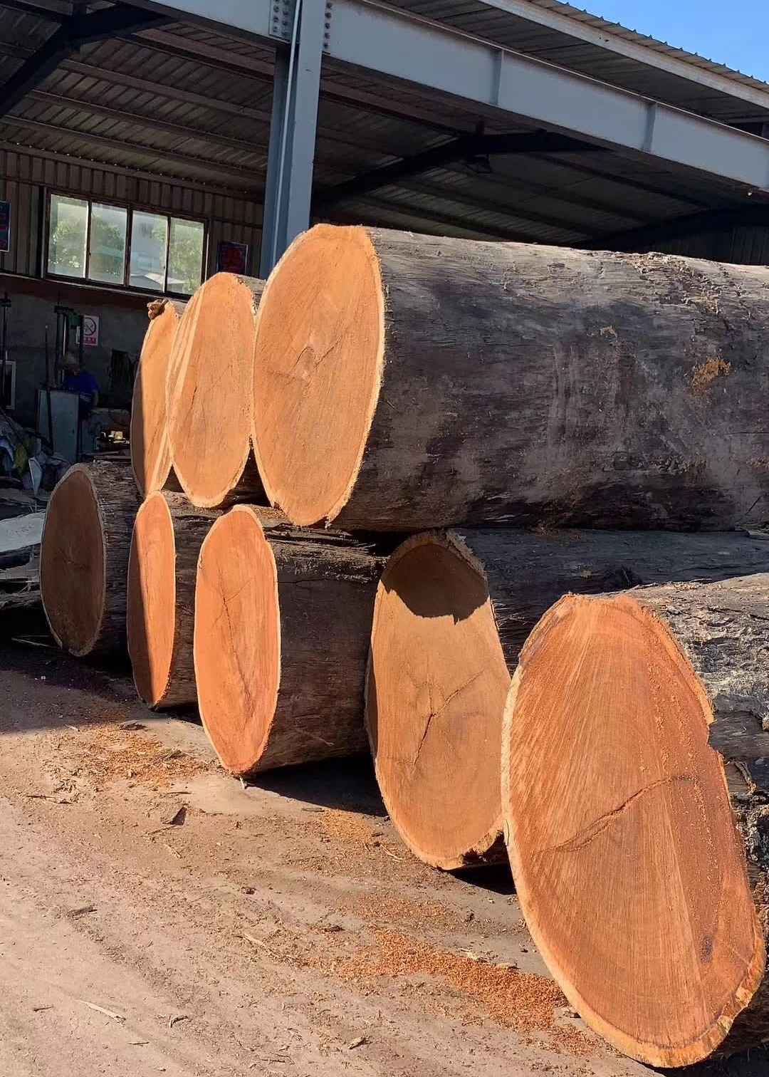 菠萝格 - 宁波市建发木业有限公司